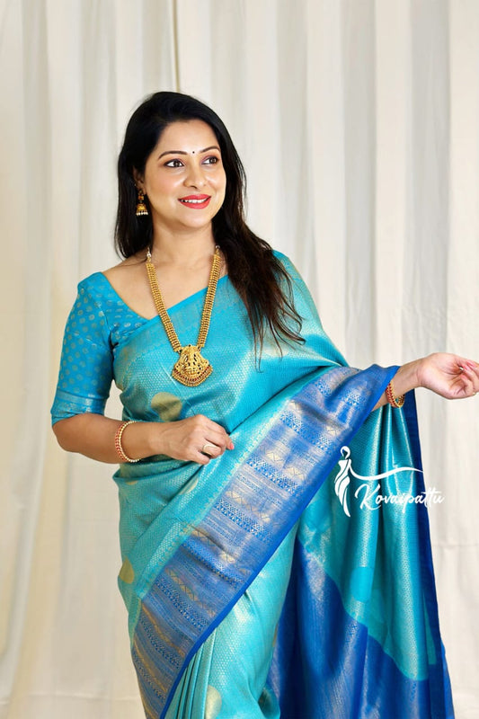 Sky Blue Warm Silk Saree Beautiful Jacquard Zari Weaving Work Rich Pallu With Beautiful Blouse